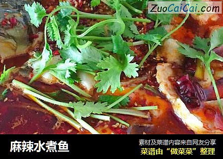 麻辣水煮鱼