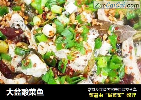 大盆酸菜鱼