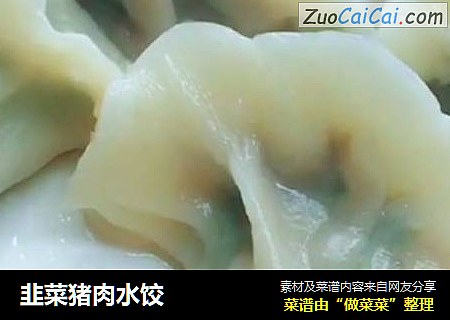 韭菜猪肉水饺