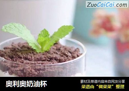 奥利奥奶油杯