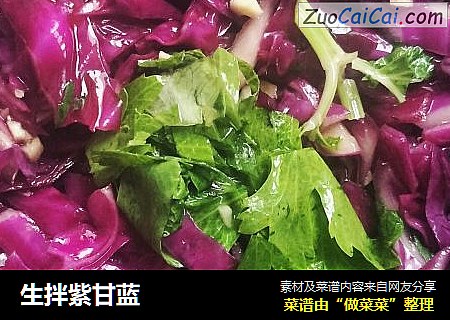 生拌紫甘蓝