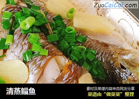 清蒸鲻鱼
