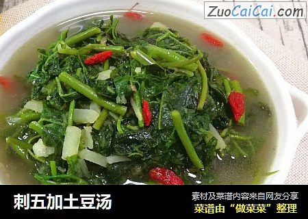 刺五加土豆汤