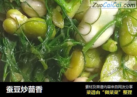 蚕豆炒茴香