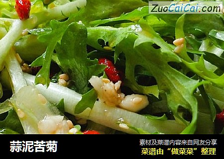 蒜泥苦菊