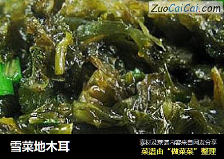 雪菜地木耳