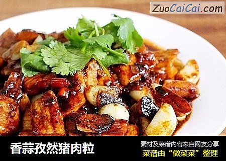 香蒜孜然猪肉粒