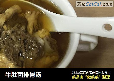 牛肚菌排骨汤