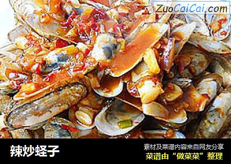辣炒蛏子