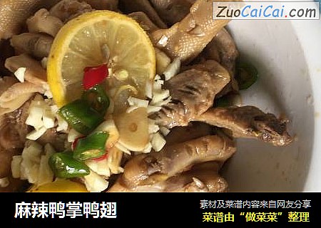 麻辣鸭掌鸭翅