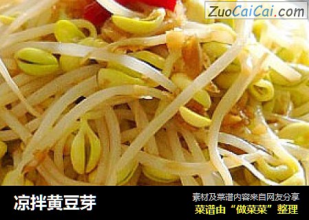 凉拌黄豆芽