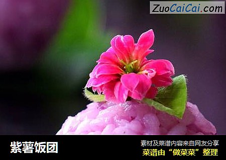 紫薯饭团