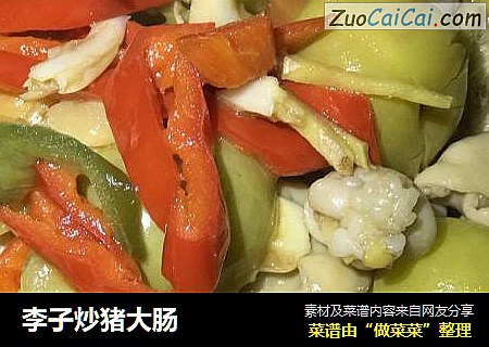 李子炒猪大肠
