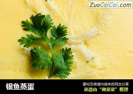 银鱼蒸蛋