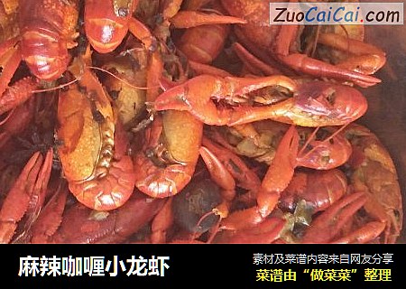 麻辣咖喱小龙虾