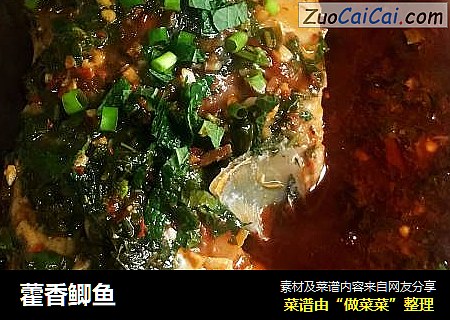 藿香鲫鱼