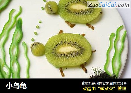 小乌龟