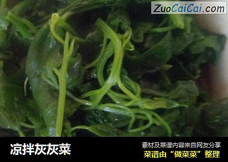 凉拌灰灰菜