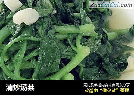 清炒汤莱