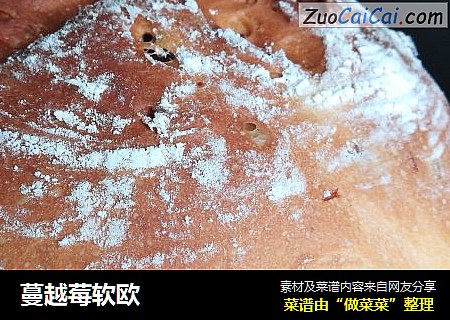 蔓越莓软欧