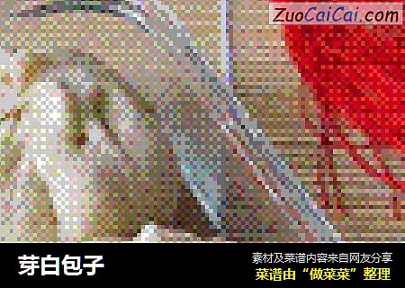 芽白包子