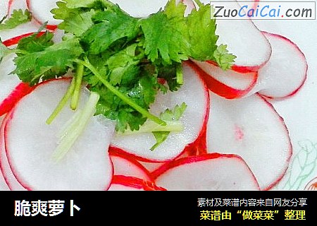 脆爽萝卜