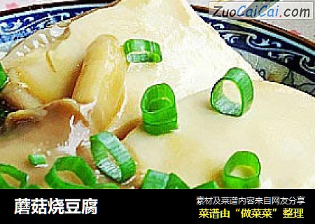 蘑菇烧豆腐
