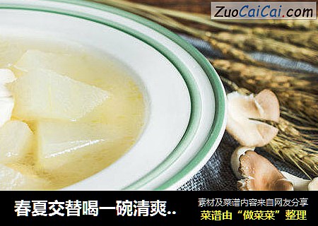 春夏交替喝一碗清爽的豆腐汤补充体力