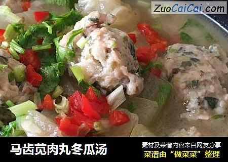 马齿苋肉丸冬瓜汤