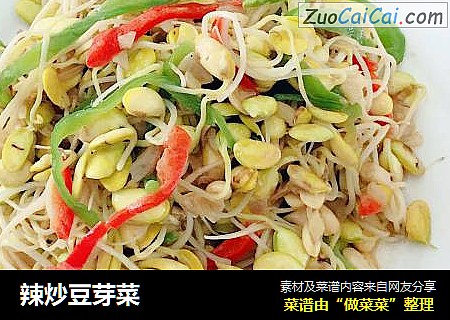 辣炒豆芽菜