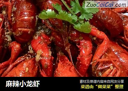 麻辣小龙虾