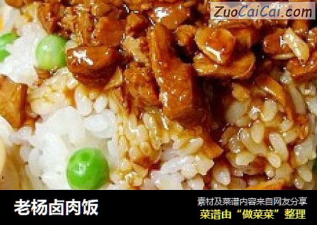 老杨卤肉饭