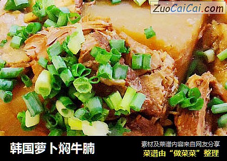 韩国萝卜焖牛腩