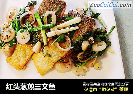 红头葱煎三文鱼