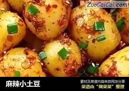 麻辣小土豆