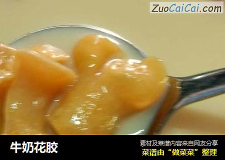 牛奶花胶