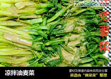 凉拌油麦菜