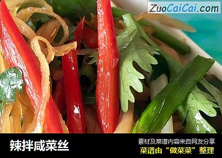 辣拌咸菜丝
