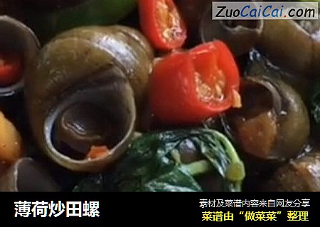 薄荷炒田螺