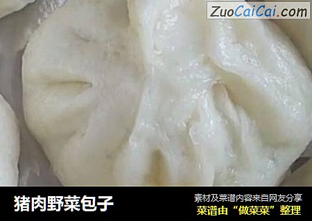 猪肉野菜包子