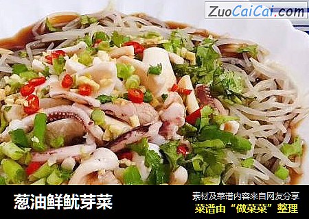 葱油鲜鱿芽菜