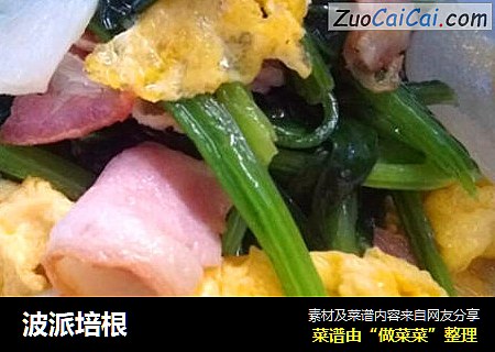 波派培根