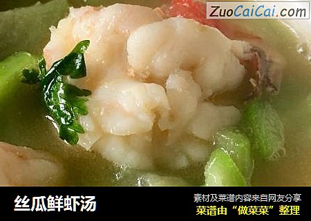 丝瓜鲜虾汤
