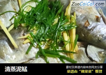 清蒸泥鯭