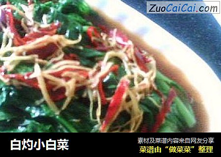 白灼小白菜
