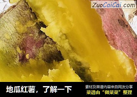 地瓜红薯，了解一下