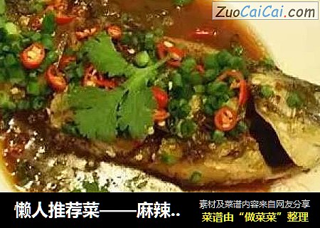 懒人推荐菜——麻辣鲫鱼