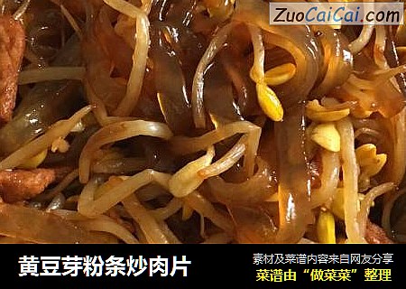 黄豆芽粉条炒肉片