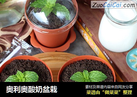 奥利奥酸奶盆栽
