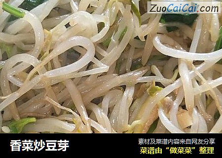 香菜炒豆芽